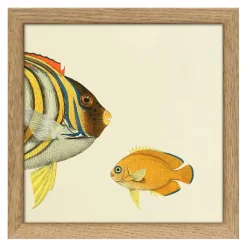 Bild mit Rahmen Botanical