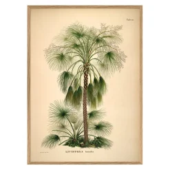 Bild mit Rahmen Botanical