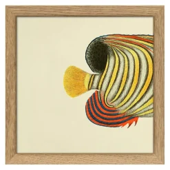 Bild mit Rahmen Botanical