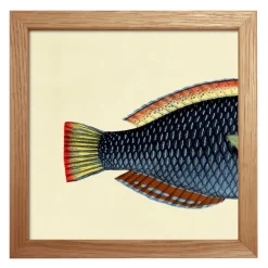 Bild mit Rahmen Botanical