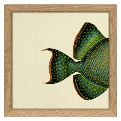 Bild mit Rahmen Botanical