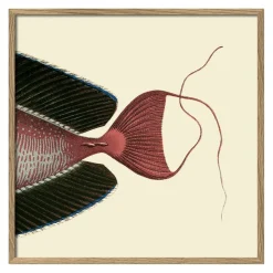 Bild mit Rahmen Botanical