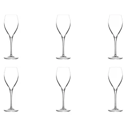 Champagnerglas-Set Opale