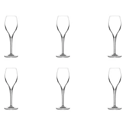 Champagnerglas-Set Opale