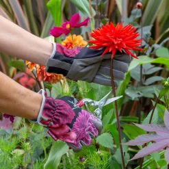 Gartenhandschuhe British Bloom
