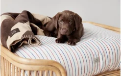 Hundedecke Oyanimal