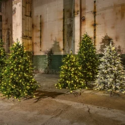 LED-Baum Indoor Light