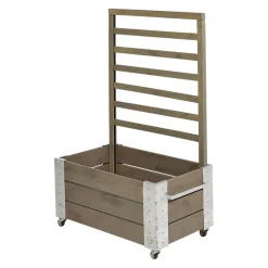 Rankgitter Cubic