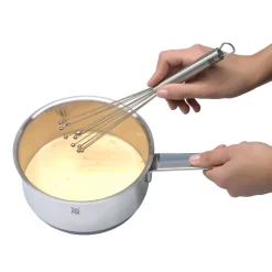 Schneebesen Profi Plus