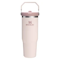 Trinkflasche Stanley