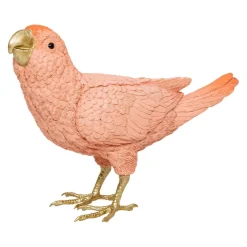 Vogel Kiara
