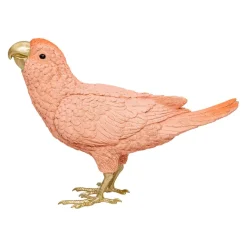 Vogel Kiara