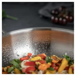 Wok Culinary Fiveply